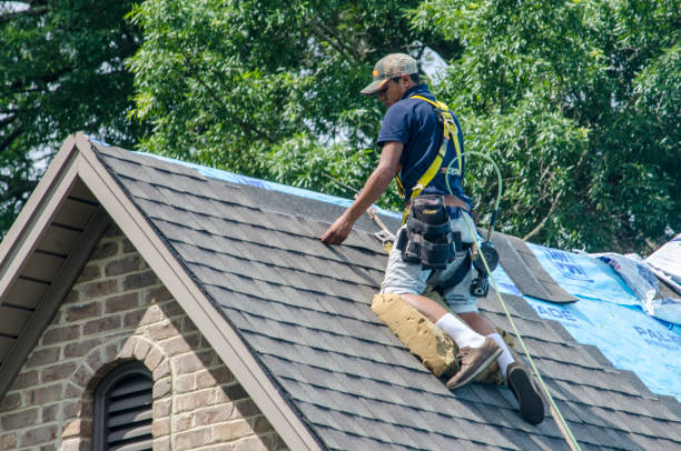 Best Shingle Roofing Installation  in Mansfield, AR